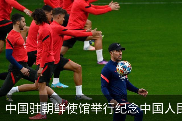 中国驻朝鲜使馆举行纪念中国人民志愿军抗美援朝出国作战76周年活动