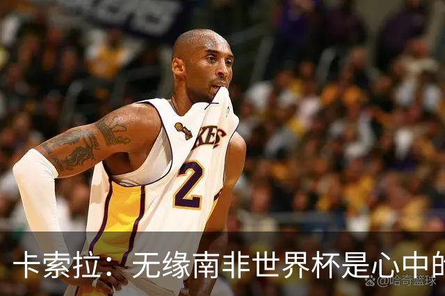 卡索拉：无缘南非世界杯是心中的刺