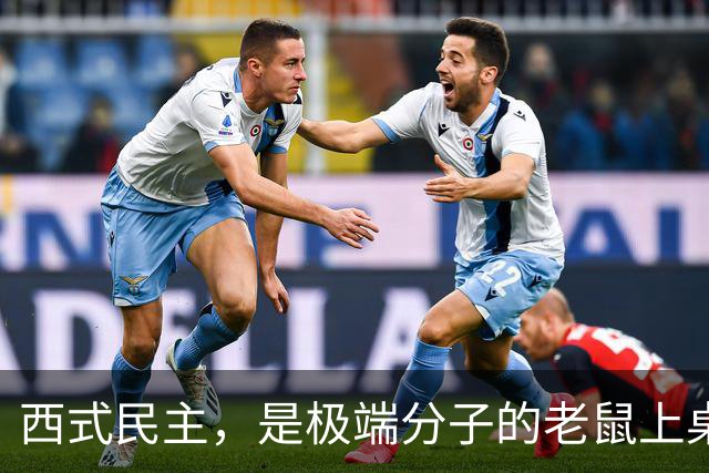 西式民主，是极端分子的老鼠上桌